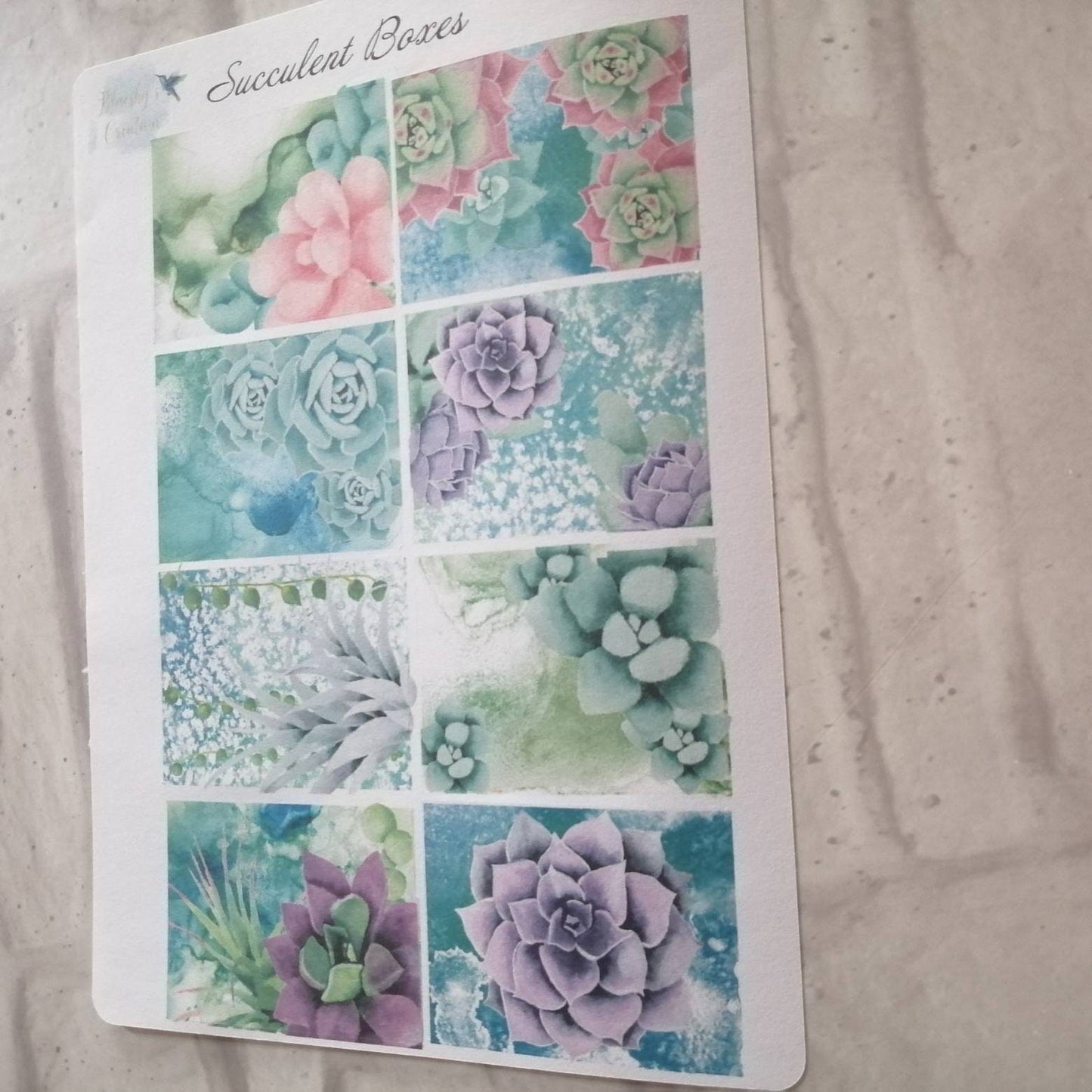 Succulent Plant Planner Kit | Green Purple & Pink Weekly | Daily Diary