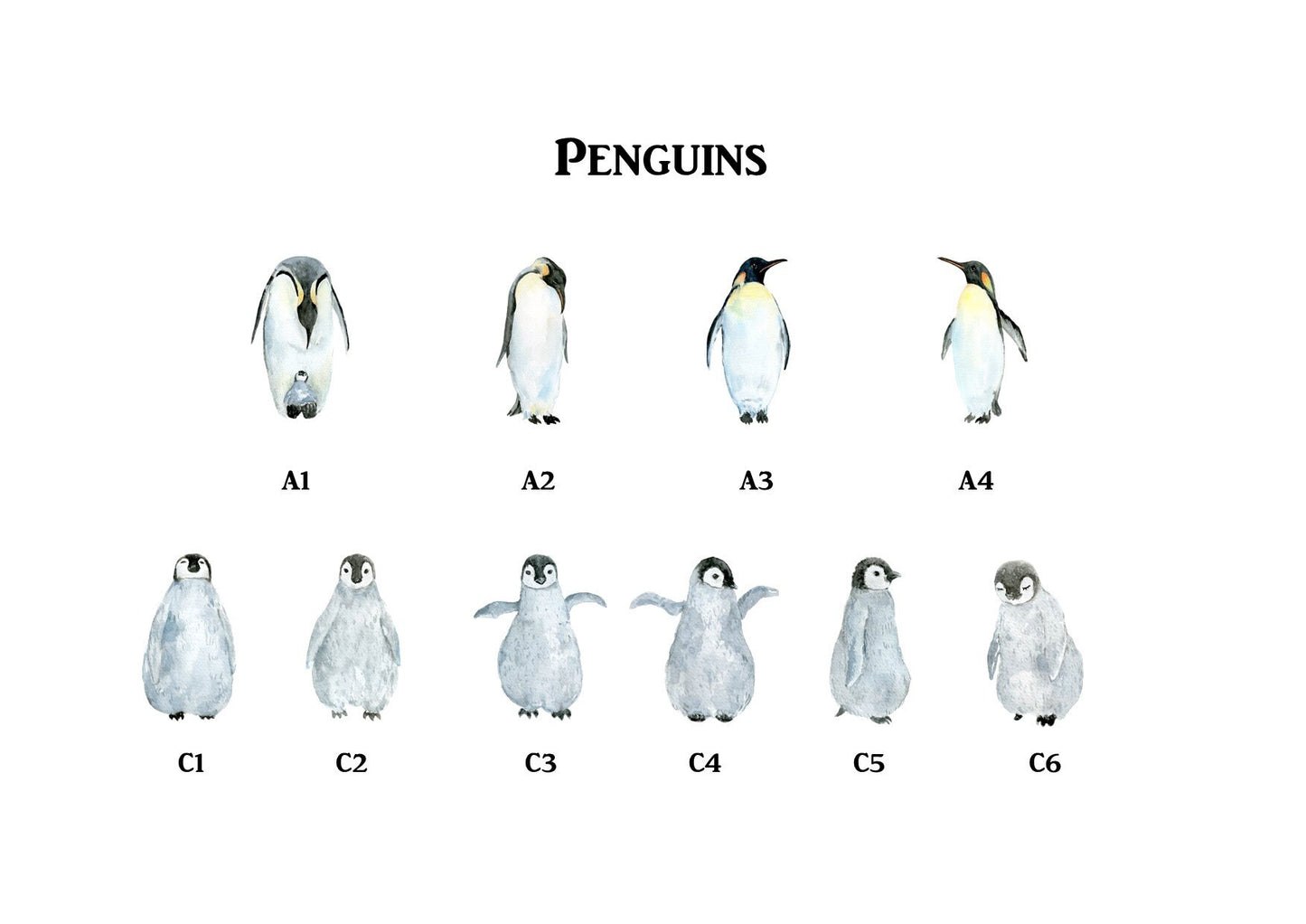 Penguin Family Card Pack