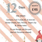 Planner Advent Calendar | Sticker Stationery | 12 or 24 days | Happy Planner Christmas